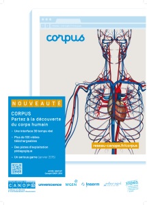 Corpus, partez à la découverte du corps humain - Primàbord